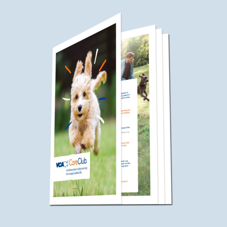 brochure.jpg